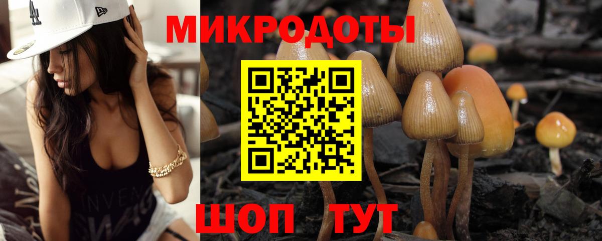 Калининград  Псилоцибиновые грибы GOLDEN TEACHER  Вход с VPN 
